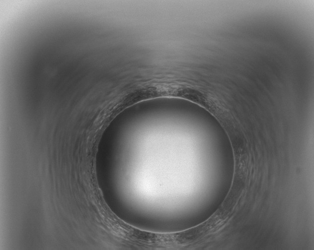 X0000059811249200510281656