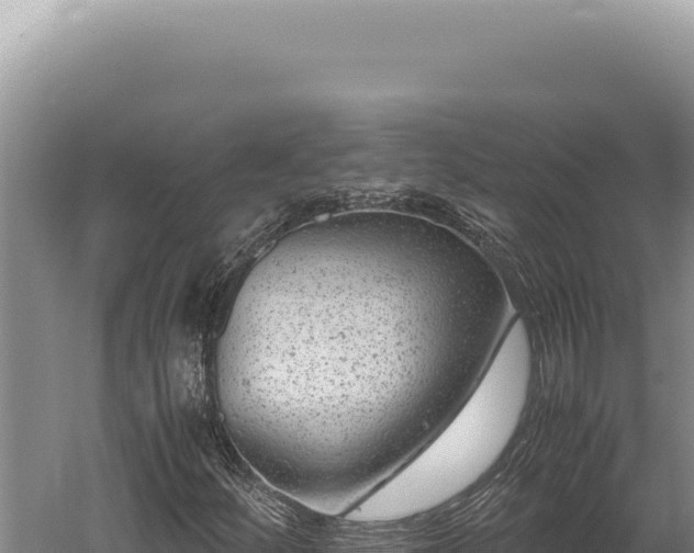 X0000059811252200510281656