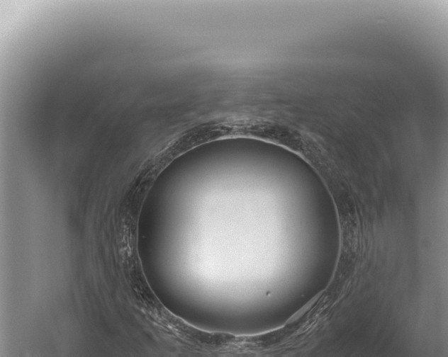 X0000059811253200510281656