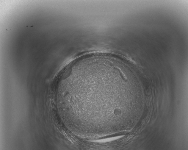 X0000059811255200510281656