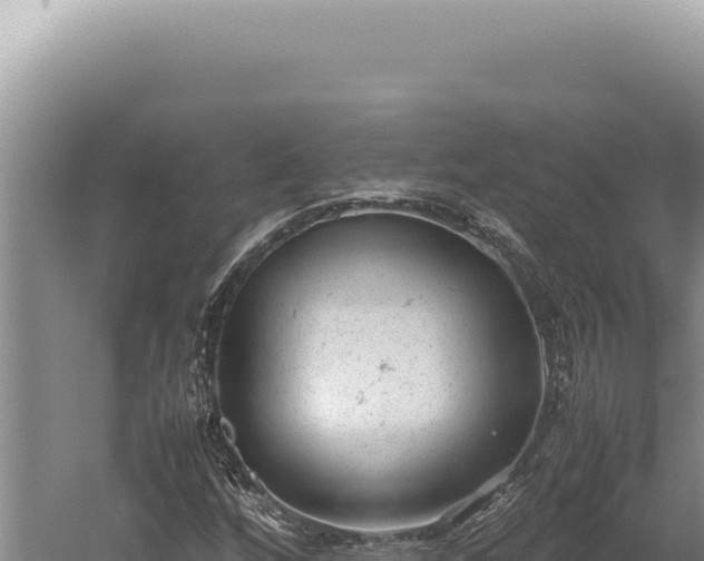 X0000059811256200510281656