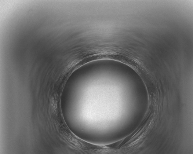 X0000059811257200510281656