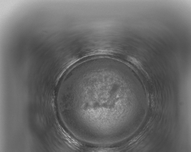 X0000059811260200510281656