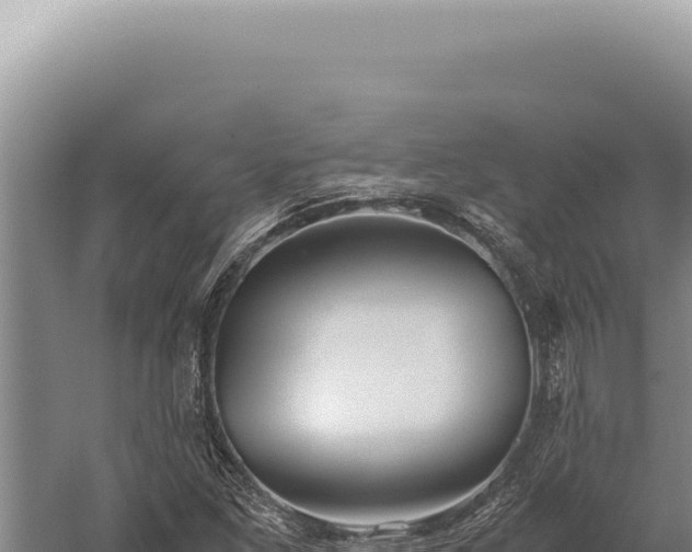 X0000059811261200510281656