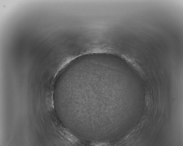 X0000059811262200510281656