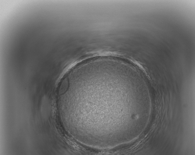 X0000059811263200510281656