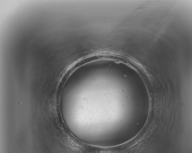 X0000059811264200510281656