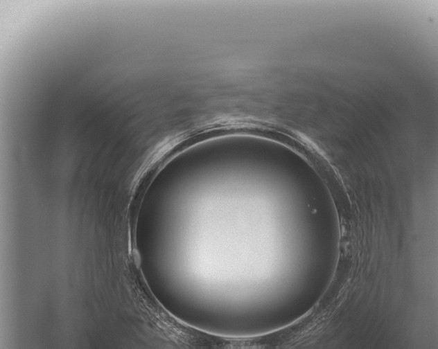 X0000059811269200510281656