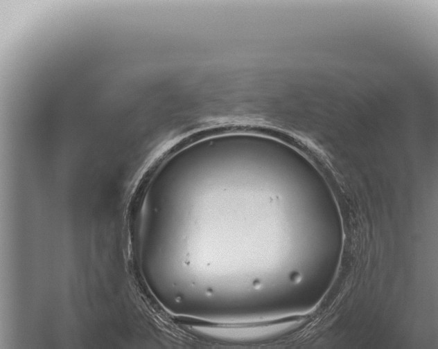 X0000059811271200510281656