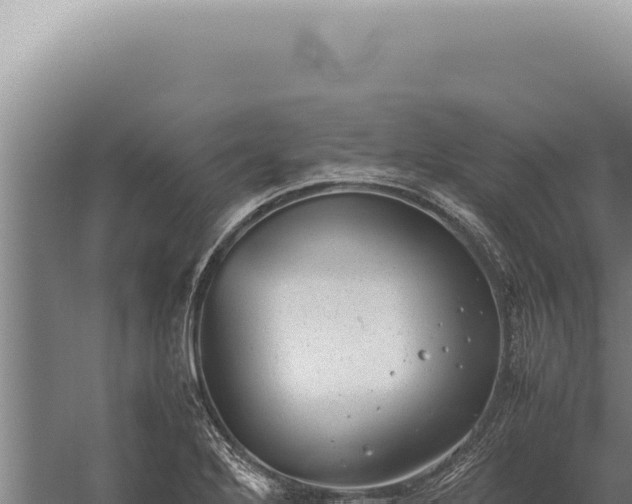 X0000059811272200510281656