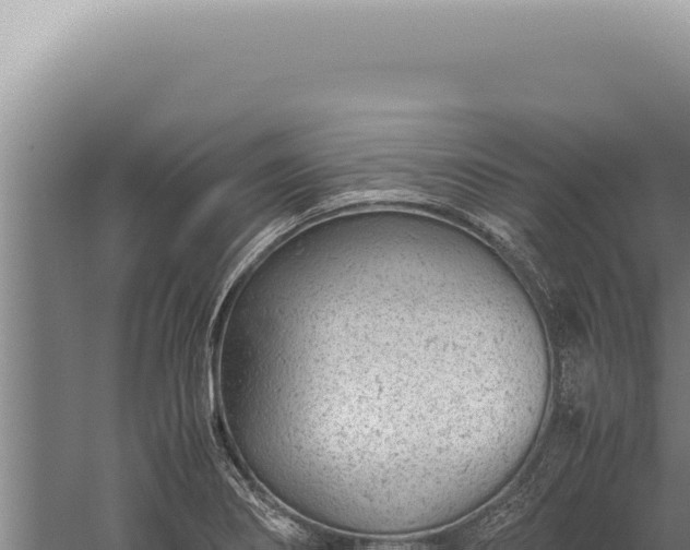 X0000059811274200510281656