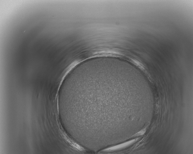 X0000059811275200510281656