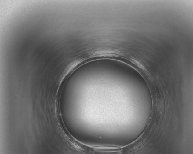 X0000059811277200510281656