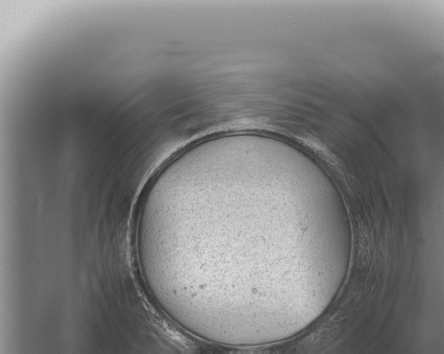 X0000059811278200510281656