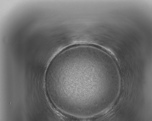 X0000059811279200510281656