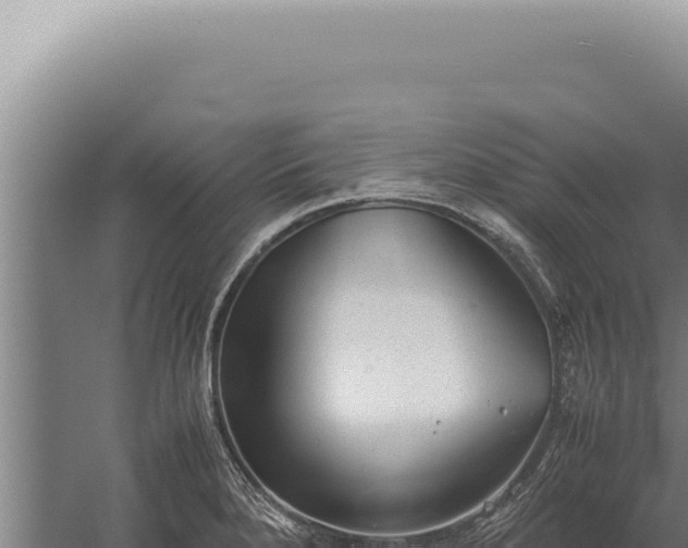 X0000059811280200510281656