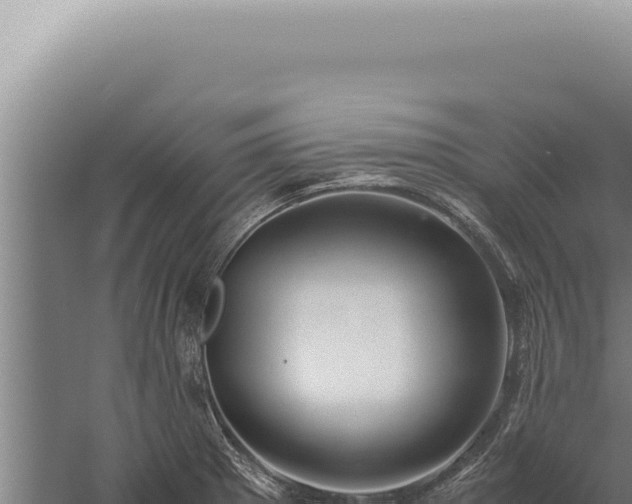 X0000059811281200510281656