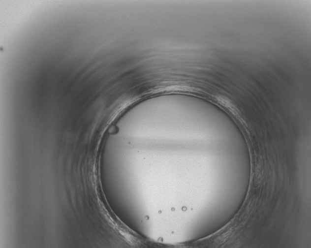 X0000059811282200510281656