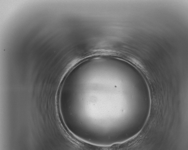 X0000059811283200510281655