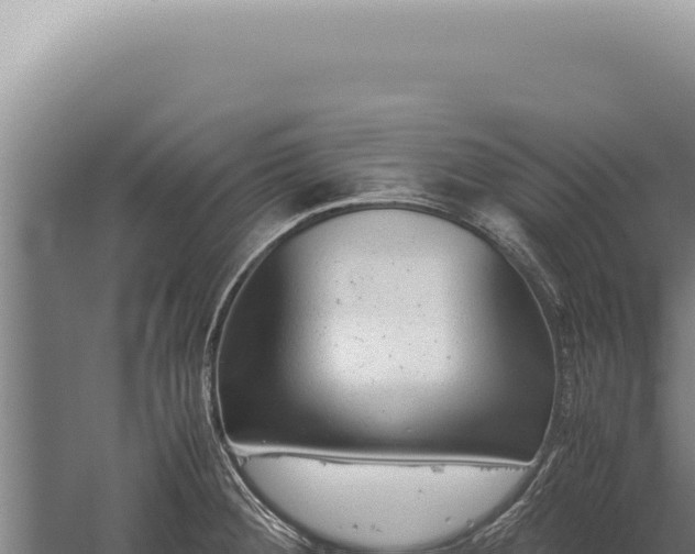 X0000059811284200510281655