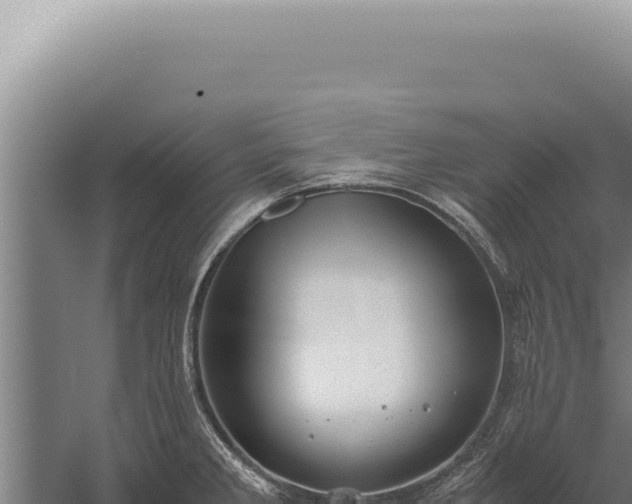 X0000059811285200510281655