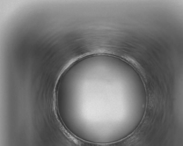 X0000059811286200510281655