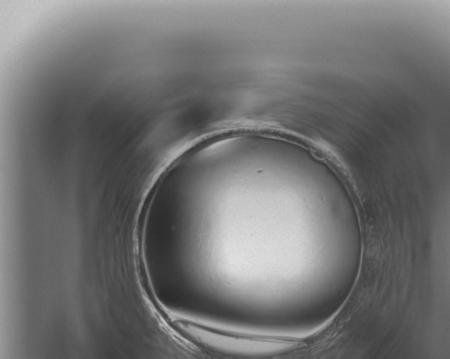 X0000059811287200510281655