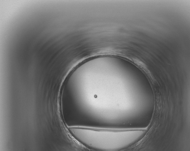 X0000059811288200510281655