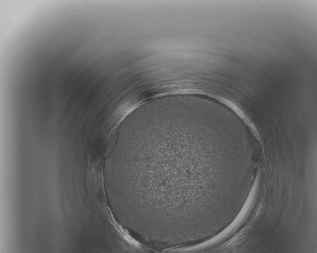 X0000059811289200510281655