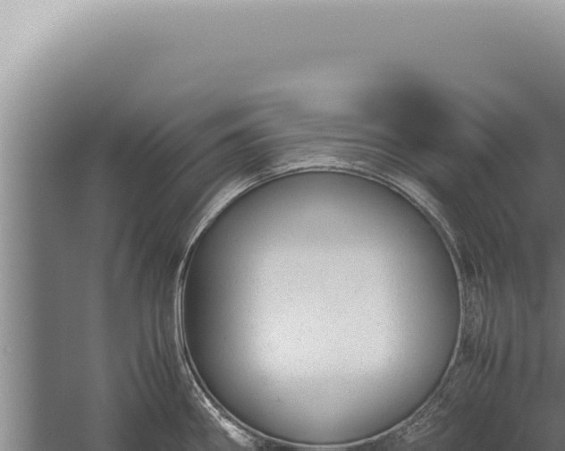 X0000059811290200510281655