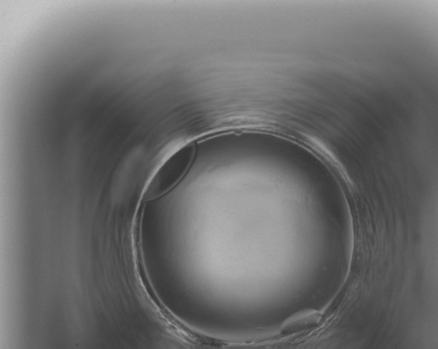 X0000059811291200510281655