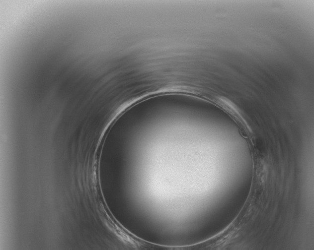 X0000059811292200510281655