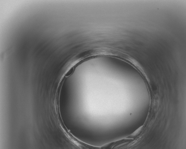 X0000059811293200510281655