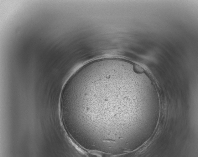 X0000059811294200510281655