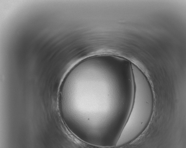 X0000059811296200510281655