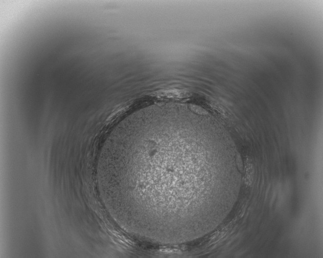 X0000059811297200510281654