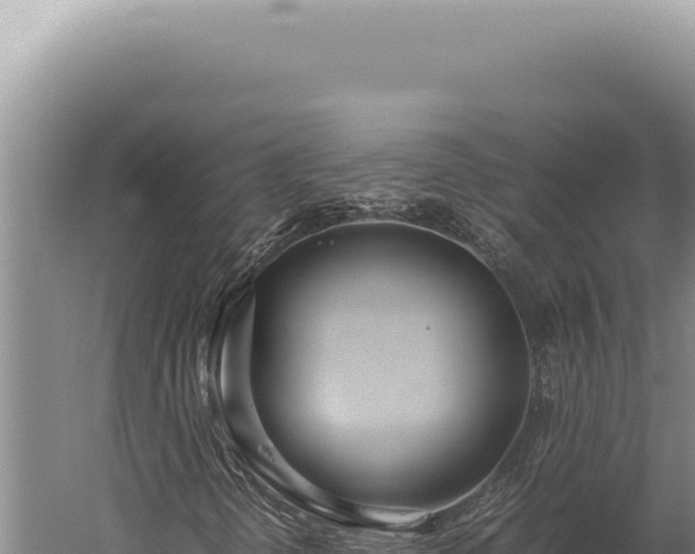 X0000059811298200510281654