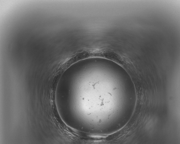 X0000059811301200510281655