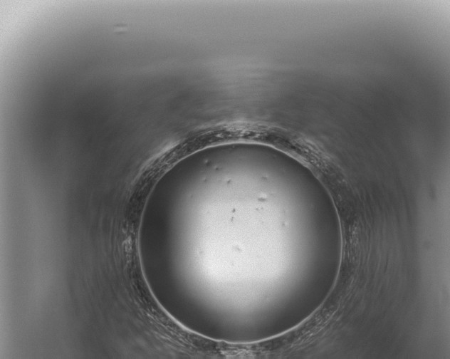 X0000059811302200510281655