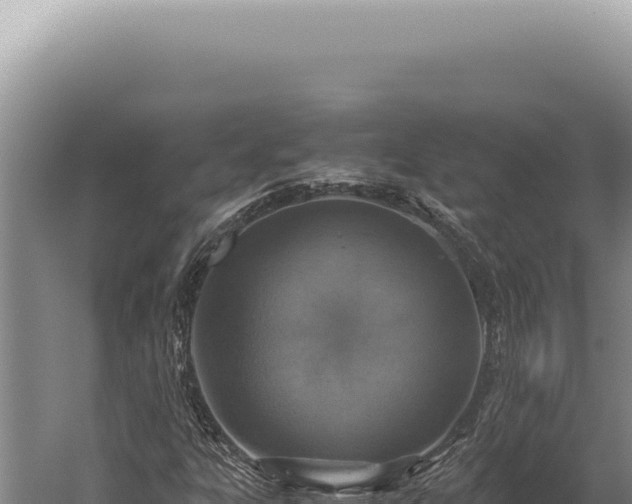 X0000059811303200510281655