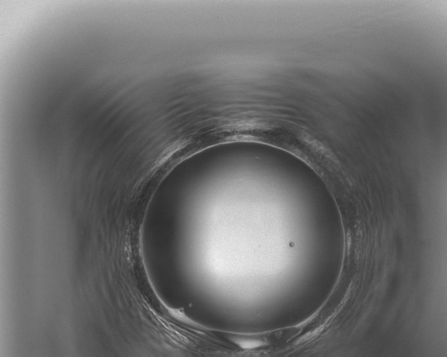 X0000059811305200510281655