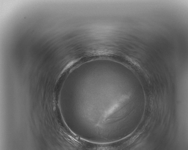 X0000059811306200510281655