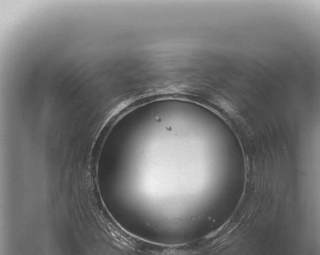 X0000059811308200510281655