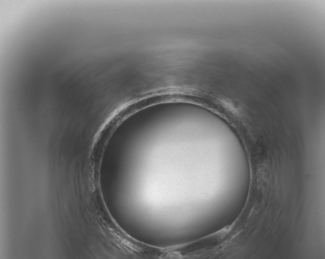 X0000059811310200510281655