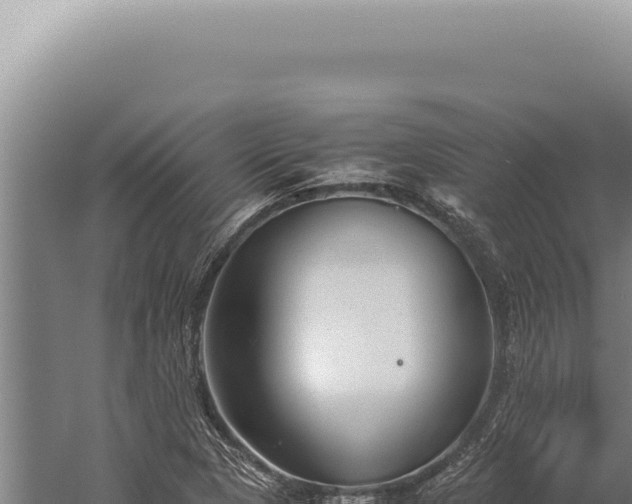 X0000059811313200510281655