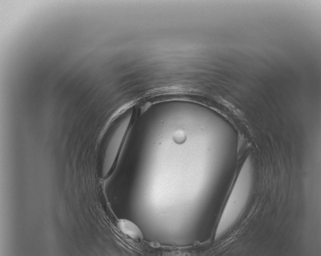 X0000059811314200510281655