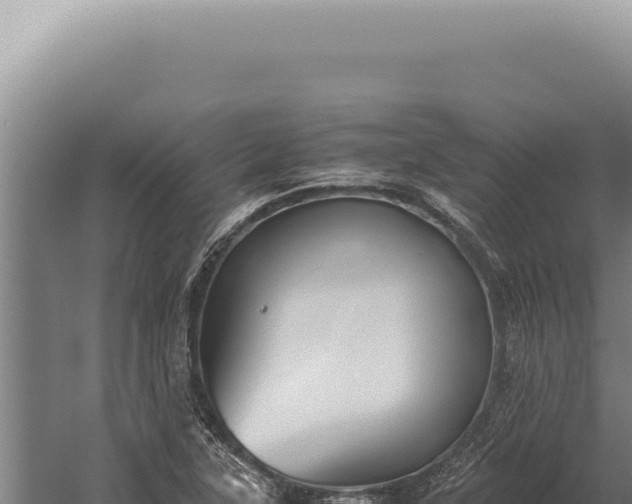 X0000059811315200510281655