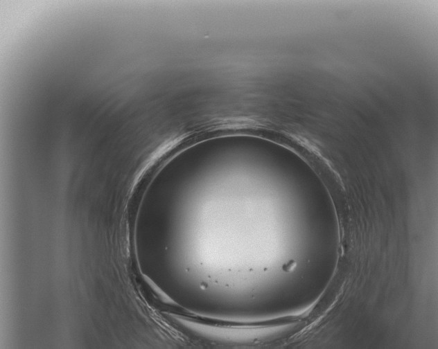 X0000059811317200510281655