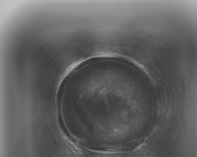 X0000059811319200510281655