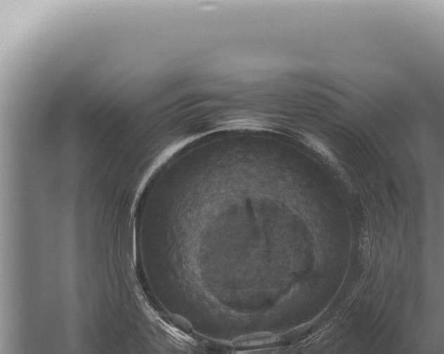 X0000059811323200510281655